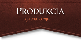 Produkcja